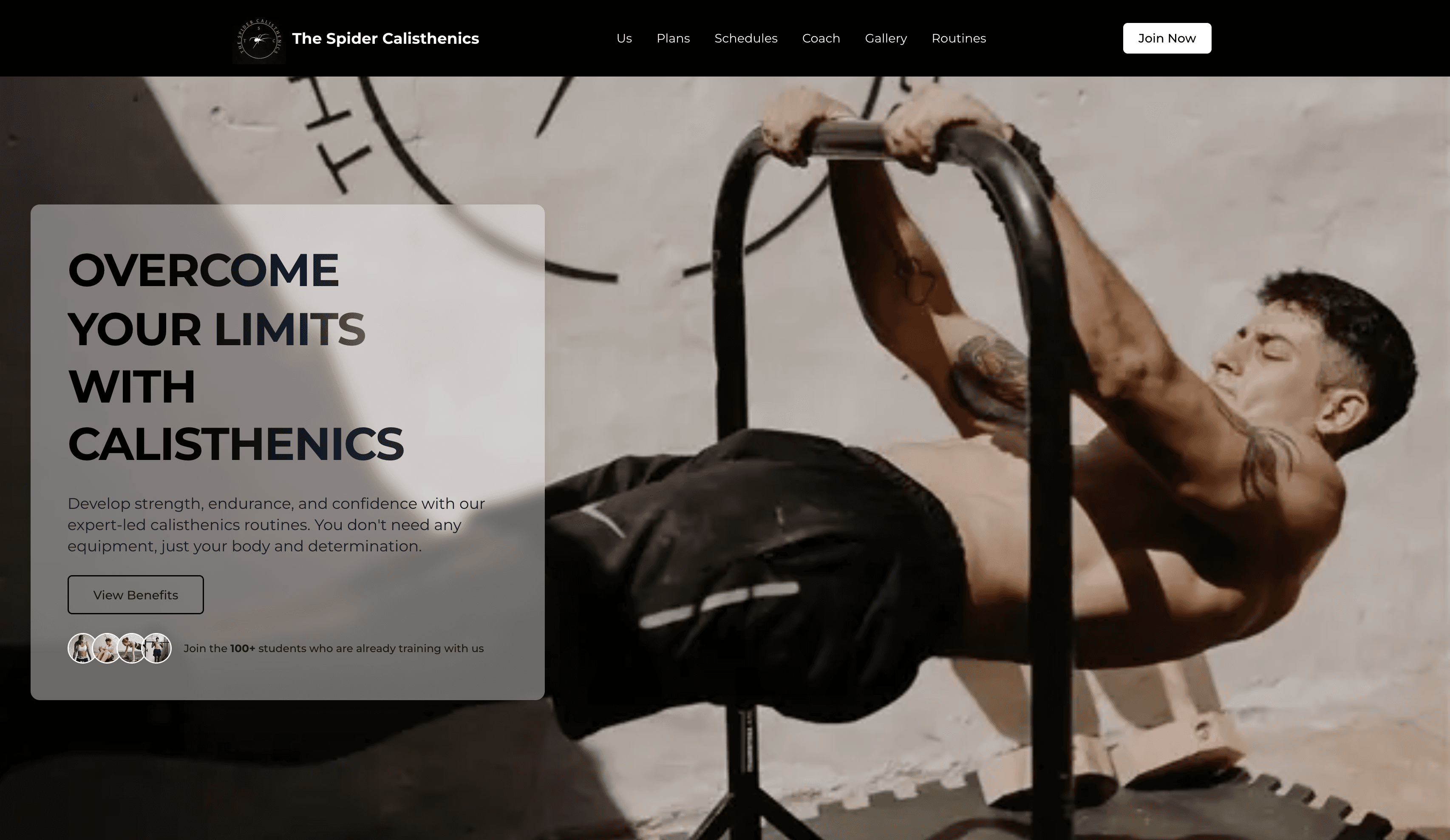 The Spider Calisthenics website preview